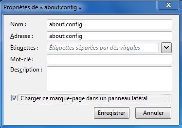 Capture décran - Mozilla Firefox, définition dun module latéral Capture décran - Mozilla Firefox, définition dun module latéral