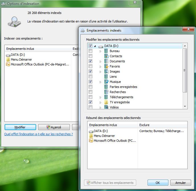 Capture d'écran - Options d'indexation, choix des emplacements à exclure de lindex Capture d'écran - Options d'indexation, choix des emplacements à exclure de lindex