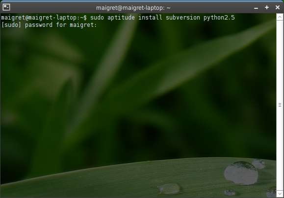 Capture décran - Terminal, installation de Subversion et de Python 2.5 Capture décran - Terminal, installation de Subversion et de Python 2.5