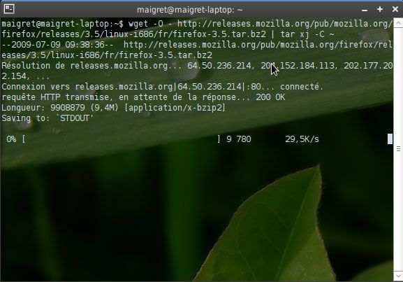 Capture décran - Terminal, commande de téléchargement Capture décran - Terminal, commande de téléchargement