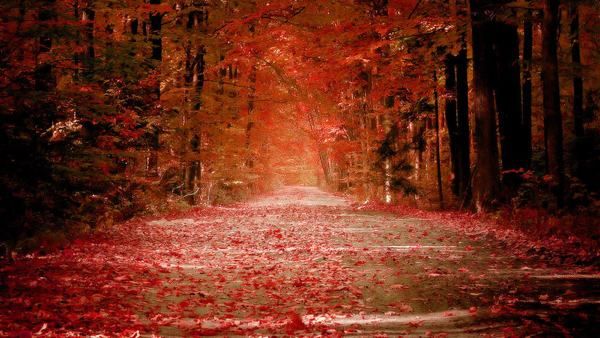 Fond décran - Autumn by =sican Fond décran - Autumn by =sican