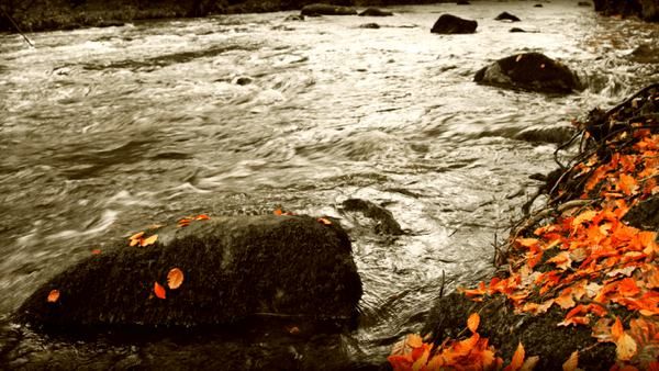 Fond décran - Signs of Autumn Wallpaper by salmanarif Fond décran - Signs of Autumn Wallpaper by salmanarif