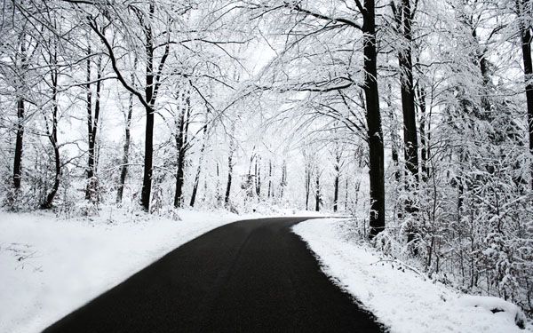 Fond décran - Winter Wallpaper Fond décran - Winter Wallpaper