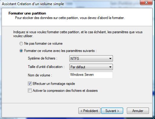 Capture décran - Paramètrage des options de formatage Capture décran - Paramètrage des options de formatage