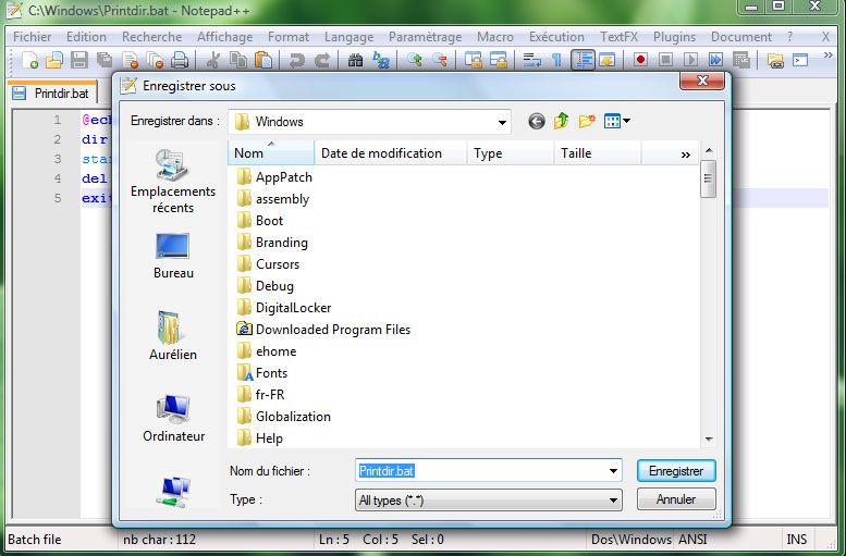 Capture décran - Création du fichier printdir.bat avec Notepad++ Capture décran - Création du fichier printdir.bat avec Notepad+